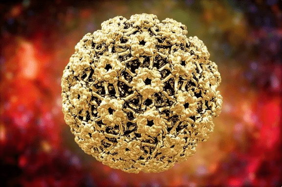 Human papillomavirus